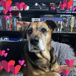 Meet your Posher, Meagan